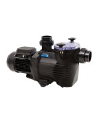 Pompe per piscine in vendita